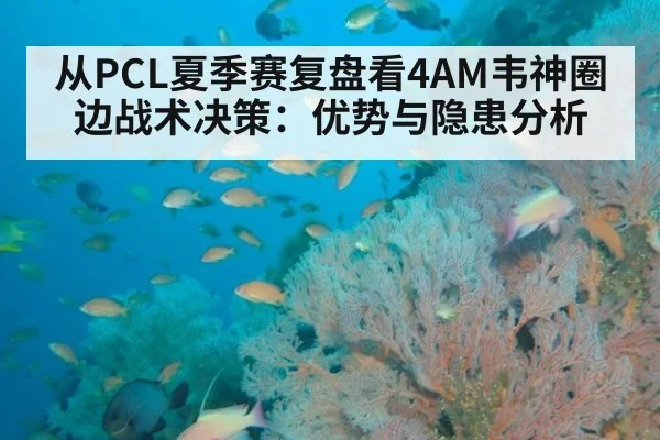 从PCL夏季赛复盘看4AM韦神圈边战术决策:优势与隐患分析